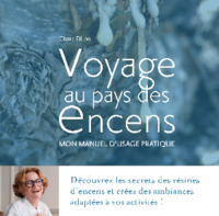 Picture of VOYAGE AU PAYS DES ENCENS