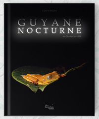 Image de Guyane nocturne