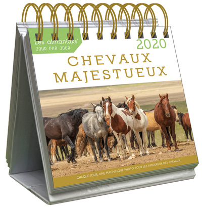 Image de Le Grand Almaniak Chevaux majestueux 2020