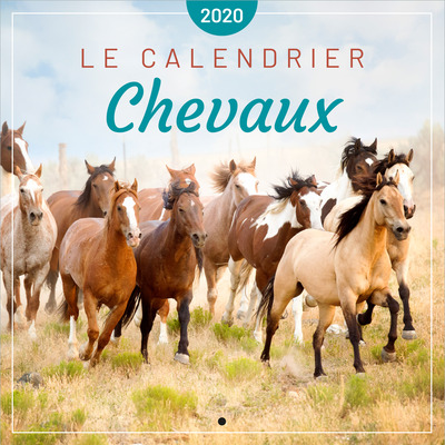Image de Le calendrier des Chevaux 2020