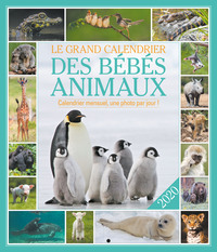 Image de Le grand Calendrier Bébés animaux 2020