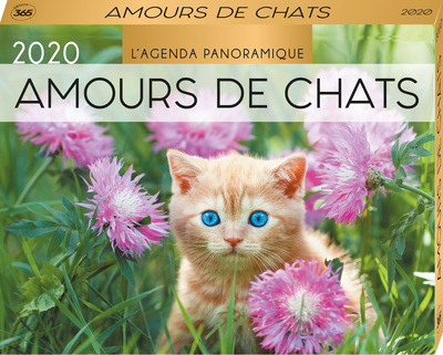Image de Agenda panoramique Amours de chats 2020