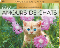 Image de Agenda panoramique Amours de chats 2020