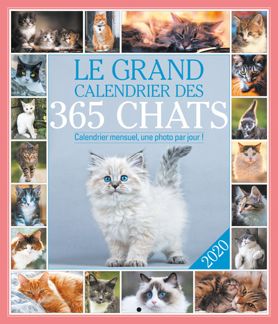 Image de Le grand Calendrier des 365 chats 2020