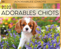 Image de Agenda panoramique Adorables chiots 2020