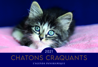 Image de Agenda panoramique Chatons craquants 2021