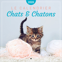 Image de Le calendrier des Chats & Chatons 2020