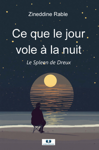 Picture of Ce que le jour vole à la nuit