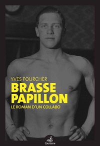 Picture of Brasse papillon