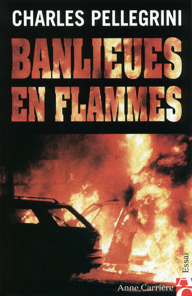 Image de Banlieues en flammes