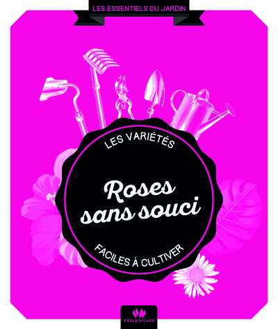 Picture of Roses sans souci
