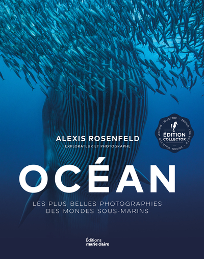 Picture of Océan