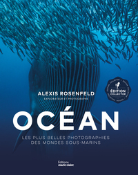 Picture of Océan