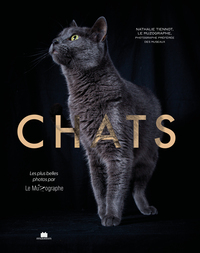 Picture of Chats