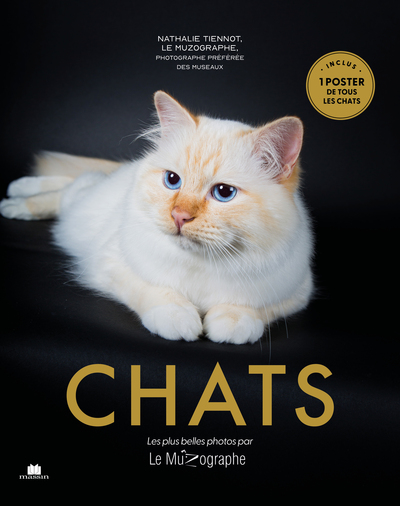 Picture of Chats