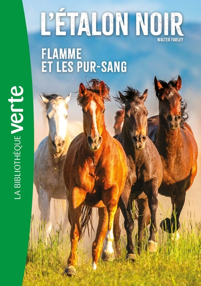 Image de L'Etalon Noir NED 11 - Flamme et les pur-sang