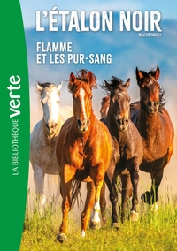 Image de L'Etalon Noir NED 11 - Flamme et les pur-sang