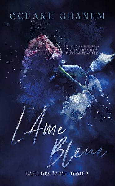 Picture of L'Âme bleue - Saga des Âmes Tome 2