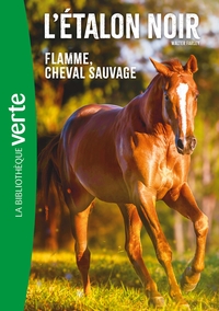 Image de L'Etalon Noir NED 10 -  Flamme cheval sauvage