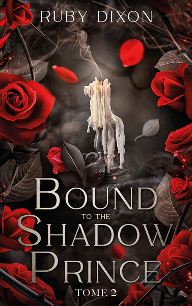 Picture of Bound to the shadow Prince - tome 2