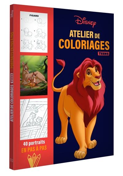 Picture of DISNEY TEENS - Atelier de coloriages - Portraits en pas à pas