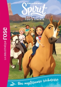Image de Spirit 21 - Une mystérieuse sécheresse