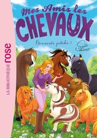 Image de Mes amis les chevaux 43 - Étonnants pottoks !