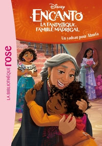 Image de Encanto 05 - Un cadeau pour Abuela