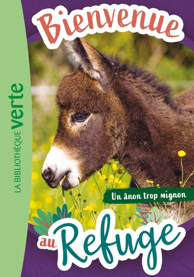 Picture of Bienvenue au refuge 10 - Un ânon trop mignon