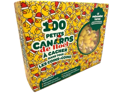 Image de 100 canards de Noël à cacher