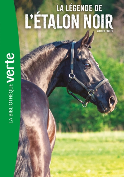 Image de L'Etalon noir NED 15 - La légende de l'Etalon Noir