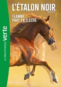Image de L'Etalon Noir NED 12- Flamme part en flèche