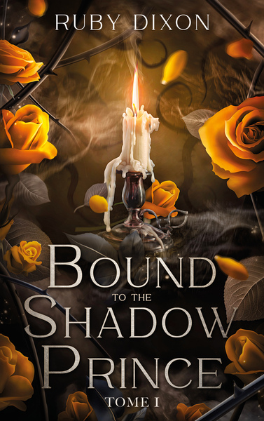 Picture of Bound to the shadow prince - Tome 1