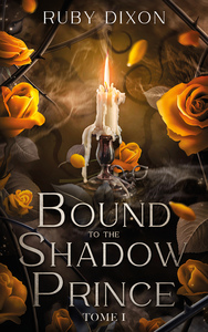 Picture of Bound to the shadow prince - Tome 1