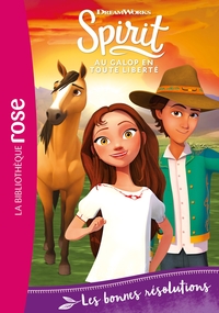 Image de Spirit 26 - Les bonnes résolutions