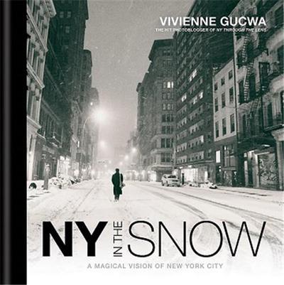 Image de New York In The Snow /anglais