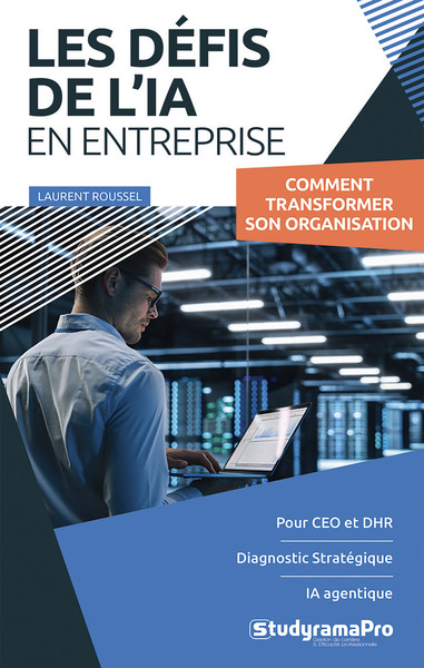 Image de Les défis de l'IA en entreprise
