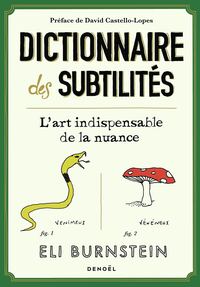 Image de Dictionnaire des subtilités