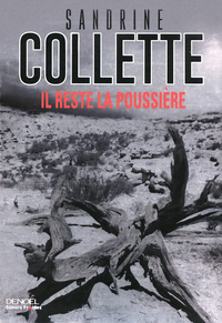 Image de Il reste la poussière