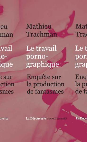 Image de Le travail pornographique
