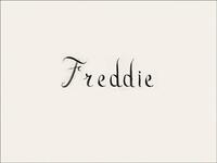 Picture of Rory Mulligan Freddie /anglais