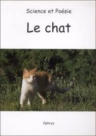 Picture of Le chat