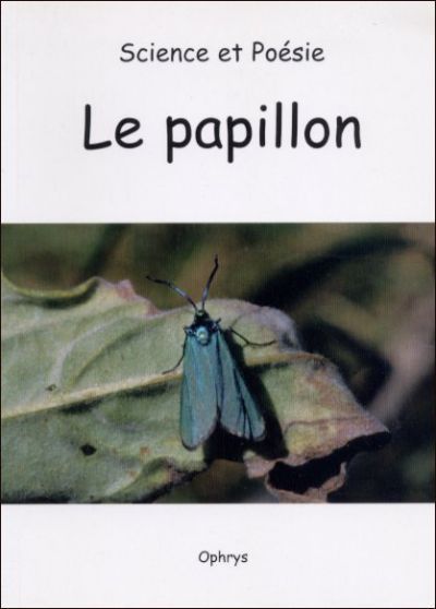 Picture of Le papillon