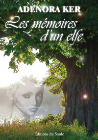 Image de Les mémoires d'un elfe