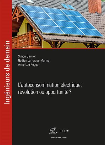 Picture of L'autoconsommation électrique : révolution ou opportunité ?