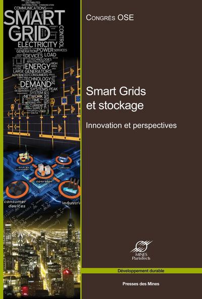 Image de Smart Grids et stockage : innovations et perspectives