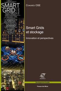 Image de Smart Grids et stockage : innovations et perspectives