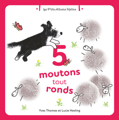 Image de 5 moutons tout ronds