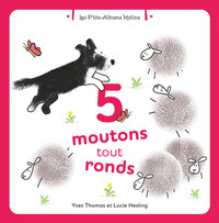 Image de 5 moutons tout ronds