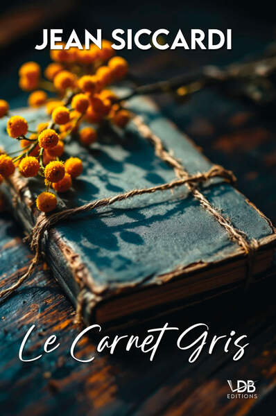 Picture of LE CARNET GRIS